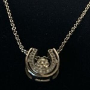 Montana West Silver Horseshoe Pendant Necklace with Rhinestone Center